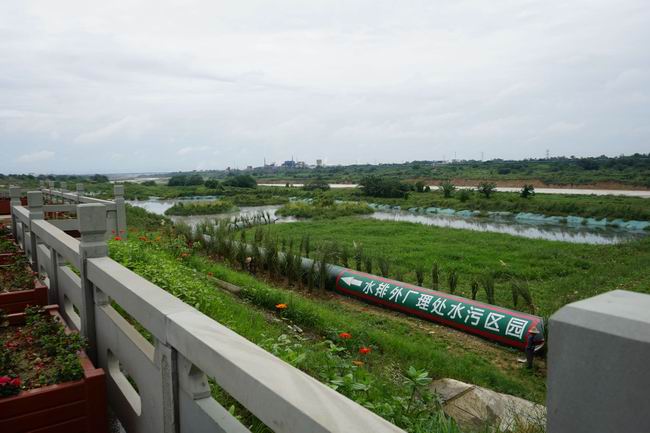 1594809880670097904.jpg 5-怪异的湿地公园景观-摄影 朱艳.jpg